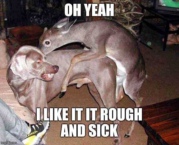 WTF DEER? | OH YEAH; I LIKE IT IT ROUGH
AND SICK | image tagged in doge,deer | made w/ Imgflip meme maker