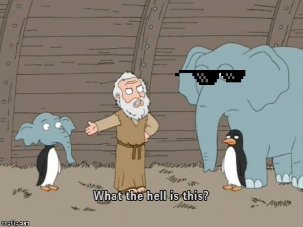 Family guy what the hell is this | image tagged in family guy what the hell is this | made w/ Imgflip meme maker