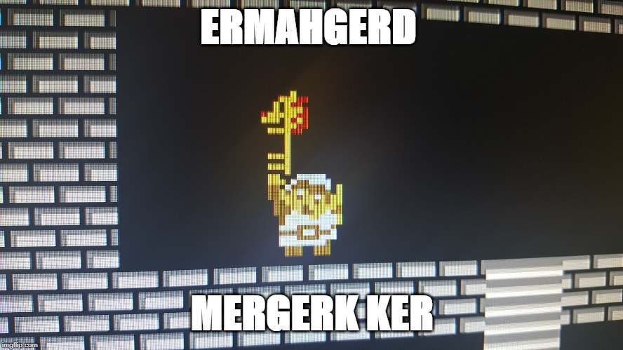 Ermahgerd Link! | ERMAHGERD; MERGERK KER | image tagged in link,zelda,legend of zelda,magic key,ermahgerd,gaming | made w/ Imgflip meme maker