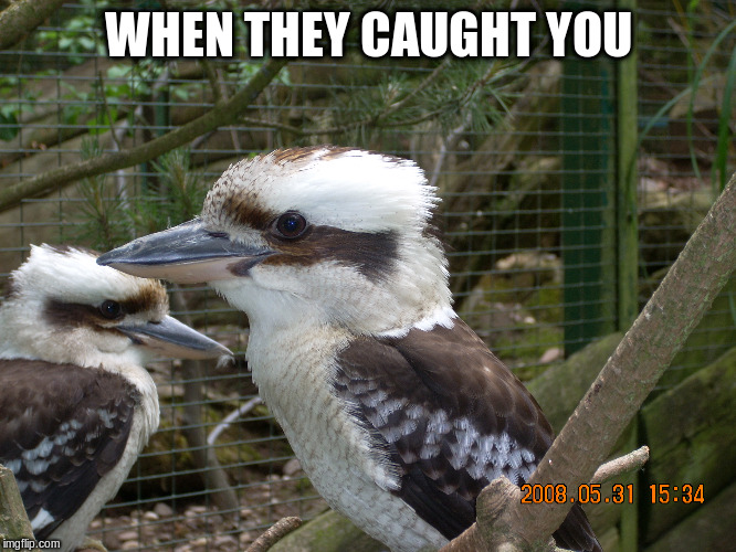 WHEN THEY CAUGHT YOU | made w/ Imgflip meme maker