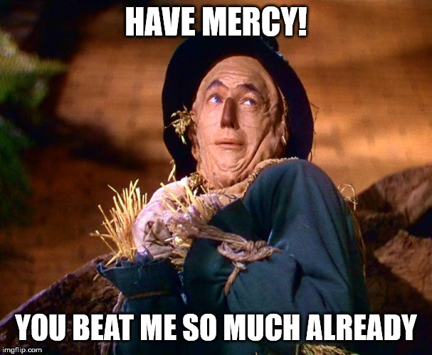Straw man | HAVE MERCY! YOU BEAT ME SO MUCH ALREADY | image tagged in straw man | made w/ Imgflip meme maker