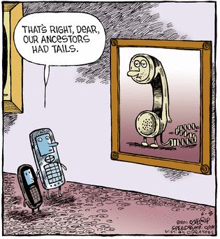 image tagged in funny