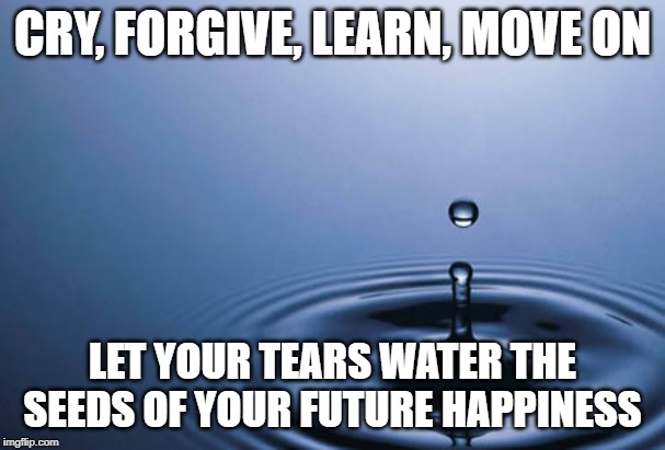 steve maraboli | CRY, FORGIVE, LEARN, MOVE ON; LET YOUR TEARS WATER THE SEEDS OF YOUR FUTURE HAPPINESS | image tagged in water drop | made w/ Imgflip meme maker