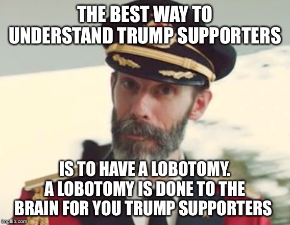 Captain Obvious | THE BEST WAY TO UNDERSTAND TRUMP SUPPORTERS; IS TO HAVE A LOBOTOMY. A LOBOTOMY IS DONE TO THE BRAIN FOR YOU TRUMP SUPPORTERS | image tagged in captain obvious | made w/ Imgflip meme maker