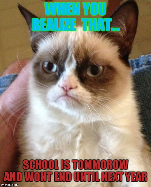 Grumpy Cat Meme | WHEN YOU REALIZE  THAT... SCHOOL IS TOMMOROW AND WONT END UNTIL NEXT YEAR | image tagged in memes,grumpy cat | made w/ Imgflip meme maker