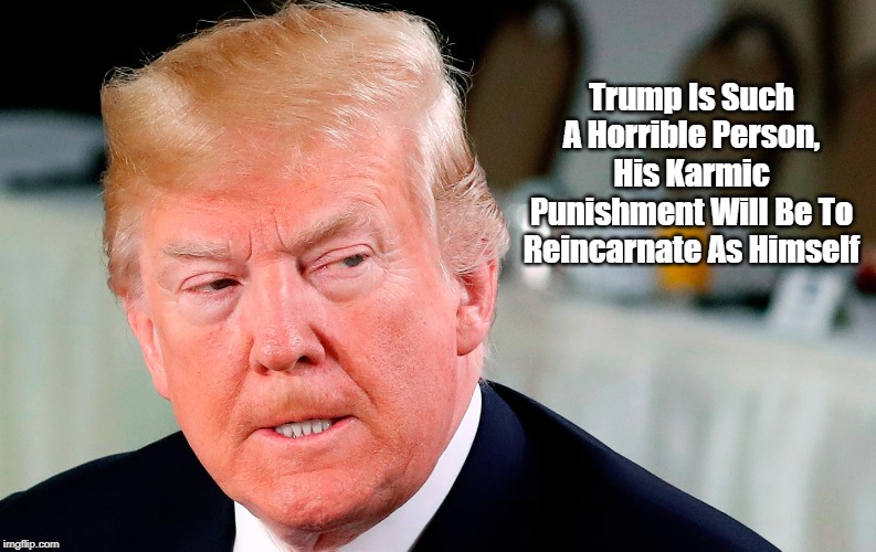 Trump Is Such A Horrible Person, His Karmic Punishment Will Be To Reincarnate As Himself | made w/ Imgflip meme maker