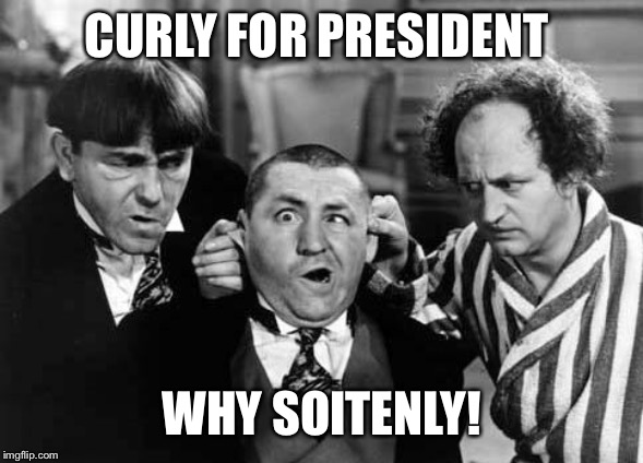 Three Stooges | CURLY FOR PRESIDENT; WHY SOITENLY! | image tagged in three stooges | made w/ Imgflip meme maker