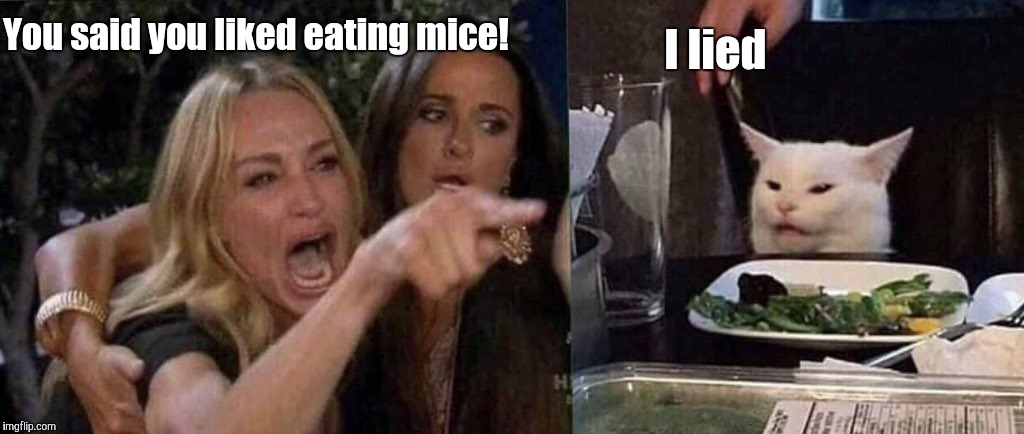 At least he has a conscience. | I lied; You said you liked eating mice! | image tagged in woman yelling at cat,lying cat,vegetarian | made w/ Imgflip meme maker