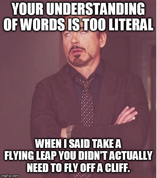Face You Make Robert Downey Jr | YOUR UNDERSTANDING OF WORDS IS TOO LITERAL; WHEN I SAID TAKE A FLYING LEAP YOU DIDN'T ACTUALLY NEED TO FLY OFF A CLIFF. | image tagged in memes,face you make robert downey jr | made w/ Imgflip meme maker