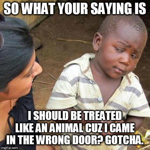 Third World Skeptical Kid | SO WHAT YOUR SAYING IS; I SHOULD BE TREATED LIKE AN ANIMAL CUZ I CAME IN THE WRONG DOOR? GOTCHA. | image tagged in memes,third world skeptical kid | made w/ Imgflip meme maker