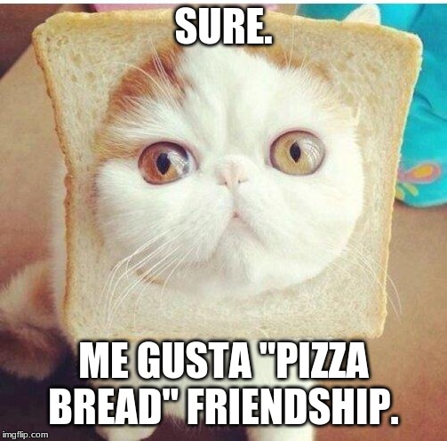 Breadcat | SURE. ME GUSTA "PIZZA BREAD" FRIENDSHIP. | image tagged in breadcat | made w/ Imgflip meme maker