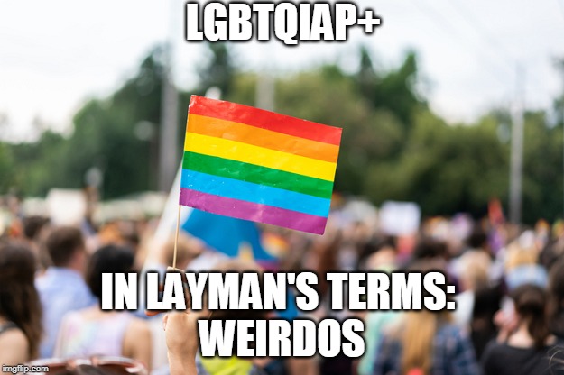 LGBTQIAP+; IN LAYMAN'S TERMS: 
WEIRDOS | image tagged in lgbt | made w/ Imgflip meme maker