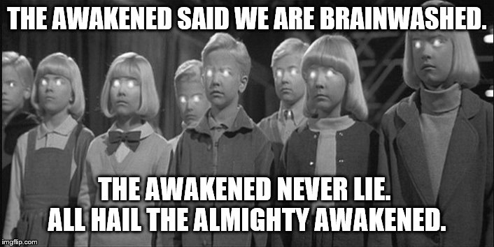 brainwashed | THE AWAKENED SAID WE ARE BRAINWASHED. THE AWAKENED NEVER LIE.  ALL HAIL THE ALMIGHTY AWAKENED. | image tagged in brainwashed | made w/ Imgflip meme maker