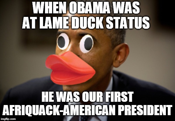 WHEN OBAMA WAS AT LAME DUCK STATUS; HE WAS OUR FIRST AFRIQUACK-AMERICAN PRESIDENT | image tagged in obama | made w/ Imgflip meme maker