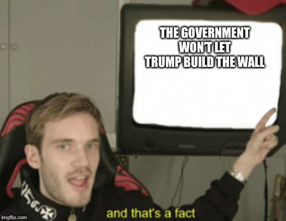 and that's a fact | THE GOVERNMENT WON’T LET TRUMP BUILD THE WALL | image tagged in and that's a fact | made w/ Imgflip meme maker