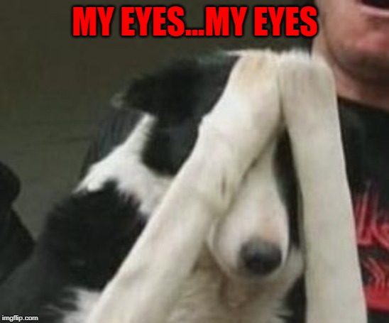 MY EYES...MY EYES | made w/ Imgflip meme maker