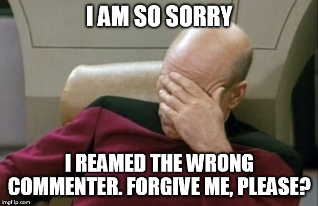 Captain Picard Facepalm | I AM SO SORRY; I REAMED THE WRONG COMMENTER. FORGIVE ME, PLEASE? | image tagged in memes,captain picard facepalm | made w/ Imgflip meme maker
