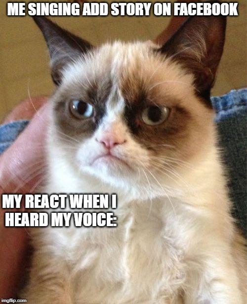 Grumpy Cat | ME SINGING ADD STORY ON FACEBOOK; MY REACT WHEN I 

HEARD MY VOICE: | image tagged in memes,grumpy cat | made w/ Imgflip meme maker