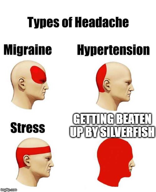 Types of Headache | GETTING BEATEN UP BY SILVERFISH | image tagged in types of headache | made w/ Imgflip meme maker