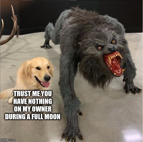 dog vs werewolf | TRUST ME YOU HAVE NOTHING ON MY OWNER DURING A FULL MOON | image tagged in dog vs werewolf | made w/ Imgflip meme maker