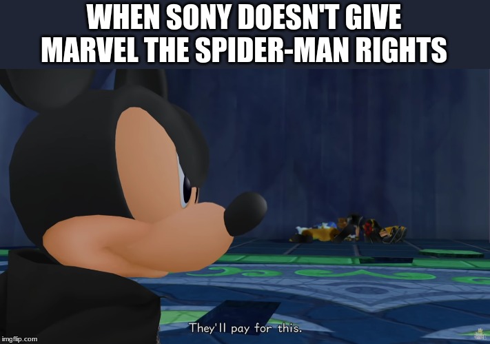 Sony-Marvel Spiderman | WHEN SONY DOESN'T GIVE MARVEL THE SPIDER-MAN RIGHTS | image tagged in spiderman,sony,marvel,kingdom hearts | made w/ Imgflip meme maker