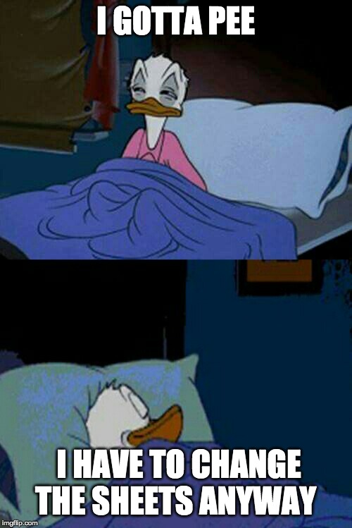 sleepy donald duck in bed | I GOTTA PEE I HAVE TO CHANGE THE SHEETS ANYWAY | image tagged in sleepy donald duck in bed | made w/ Imgflip meme maker