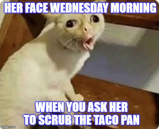 Taco Tuesday Shenanigans | HER FACE WEDNESDAY MORNING; WHEN YOU ASK HER TO SCRUB THE TACO PAN | image tagged in taco tuesday,funny memes,girlfriend,dark humor,memes | made w/ Imgflip meme maker
