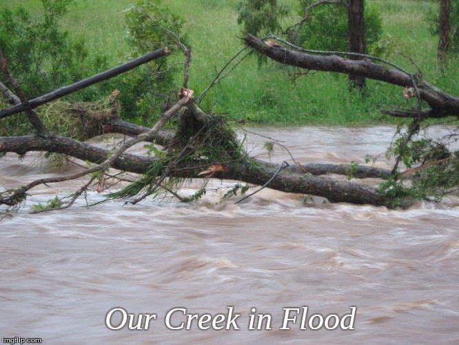 Our Creek in Flood | Our Creek in Flood | image tagged in memes,flooded,creek,flooded creek | made w/ Imgflip meme maker