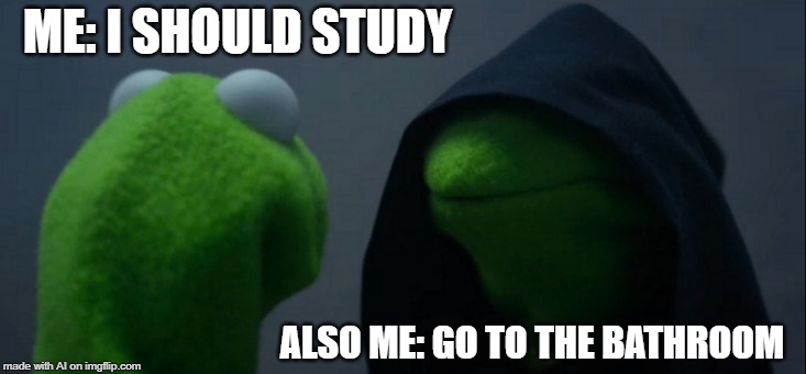 Evil Kermit | ME: I SHOULD STUDY; ALSO ME: GO TO THE BATHROOM | image tagged in memes,evil kermit | made w/ Imgflip meme maker