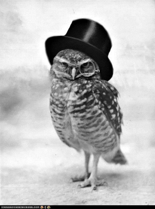 gentleman owl Blank Meme Template