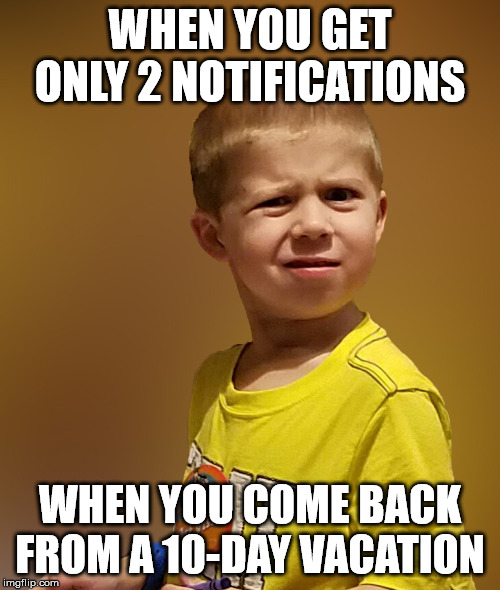 Say what? | WHEN YOU GET ONLY 2 NOTIFICATIONS; WHEN YOU COME BACK FROM A 10-DAY VACATION | image tagged in say what | made w/ Imgflip meme maker