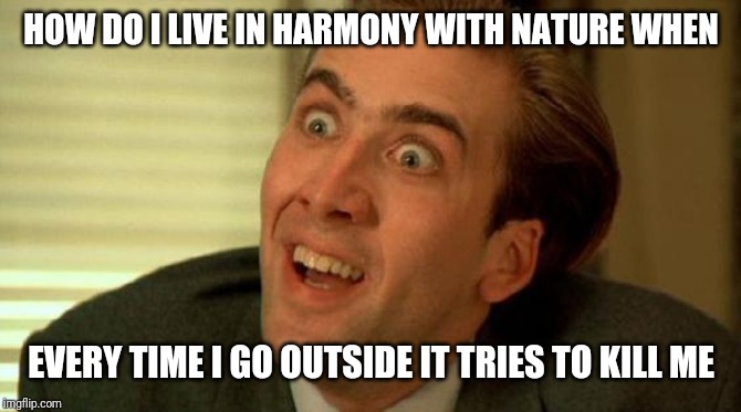 Nicolas Cage | HOW DO I LIVE IN HARMONY WITH NATURE WHEN; EVERY TIME I GO OUTSIDE IT TRIES TO KILL ME | image tagged in nicolas cage | made w/ Imgflip meme maker