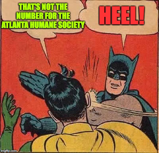 Batman Slapping Robin Meme | THAT'S NOT THE NUMBER FOR THE ATLANTA HUMANE SOCIETY HEEL! | image tagged in memes,batman slapping robin | made w/ Imgflip meme maker