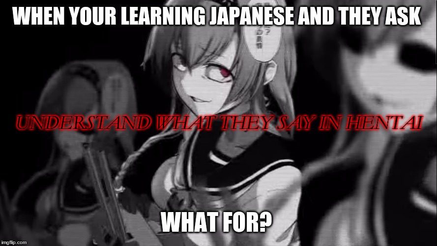 WHEN YOUR LEARNING JAPANESE AND THEY ASK; UNDERSTAND WHAT THEY SAY IN HENTAI; WHAT FOR? | image tagged in the most interesting cat in the world | made w/ Imgflip meme maker