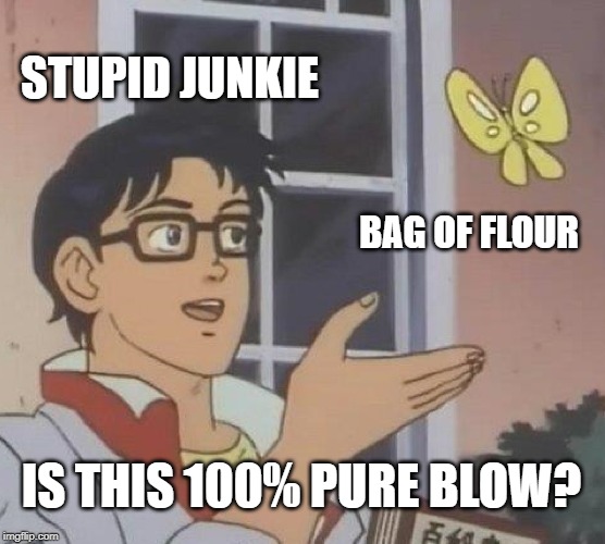 Do a Line | STUPID JUNKIE; BAG OF FLOUR; IS THIS 100% PURE BLOW? | image tagged in memes,is this a pigeon | made w/ Imgflip meme maker