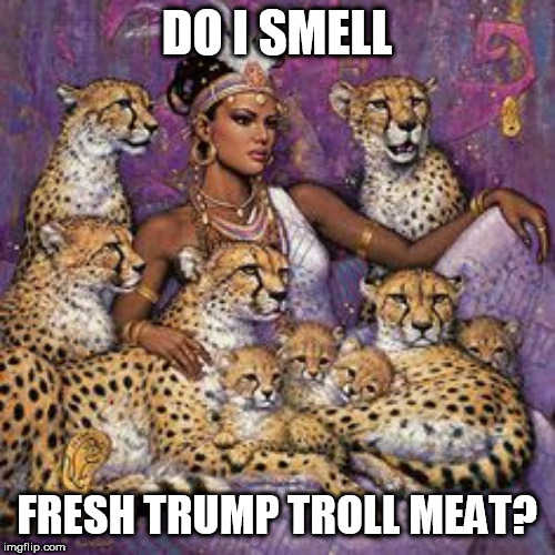 DO I SMELL; FRESH TRUMP TROLL MEAT? | made w/ Imgflip meme maker