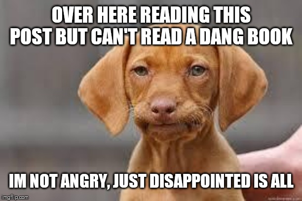 Disappointed Dog | OVER HERE READING THIS POST BUT CAN'T READ A DANG BOOK; IM NOT ANGRY, JUST DISAPPOINTED IS ALL | image tagged in disappointed dog | made w/ Imgflip meme maker