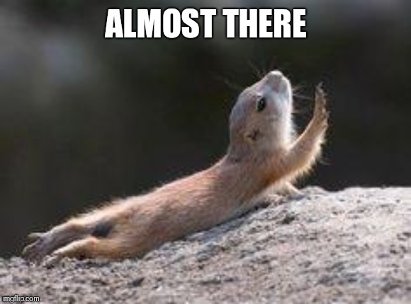 Prairie dog reaching | ALMOST THERE | image tagged in prairie dog reaching | made w/ Imgflip meme maker