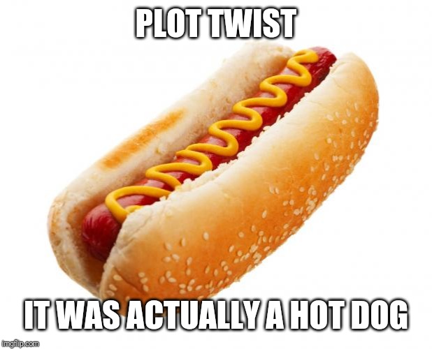 Hot dog  | PLOT TWIST IT WAS ACTUALLY A HOT DOG | image tagged in hot dog | made w/ Imgflip meme maker