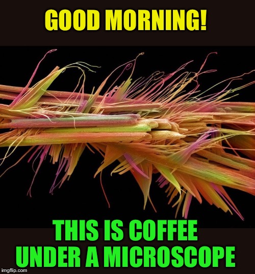 Taste the rainbow | GOOD MORNING! THIS IS COFFEE UNDER A MICROSCOPE | image tagged in coffee,good morning | made w/ Imgflip meme maker