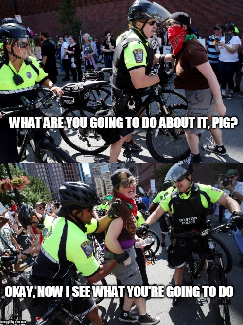 The Mask Doesn't Make You Tough | WHAT ARE YOU GOING TO DO ABOUT IT, PIG? OKAY, NOW I SEE WHAT YOU'RE GOING TO DO | image tagged in boston police,boston straight pride protest,police brutality,antifa | made w/ Imgflip meme maker
