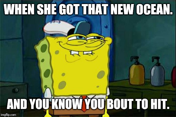 Don't You Squidward Meme | WHEN SHE GOT THAT NEW OCEAN. AND YOU KNOW YOU BOUT TO HIT. | image tagged in memes,dont you squidward | made w/ Imgflip meme maker