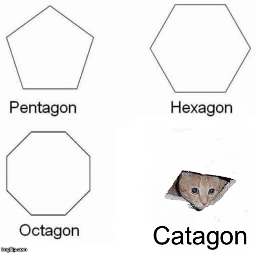 Pentagon Hexagon Octagon | Catagon | image tagged in memes,pentagon hexagon octagon | made w/ Imgflip meme maker