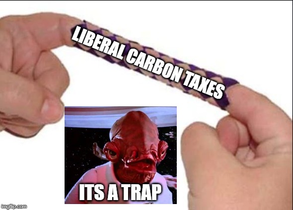 There is no escaping them | LIBERAL CARBON TAXES; ITS A TRAP | image tagged in carbon footprint,taxation is theft,justin trudeau,trudeau,pointless,greed | made w/ Imgflip meme maker
