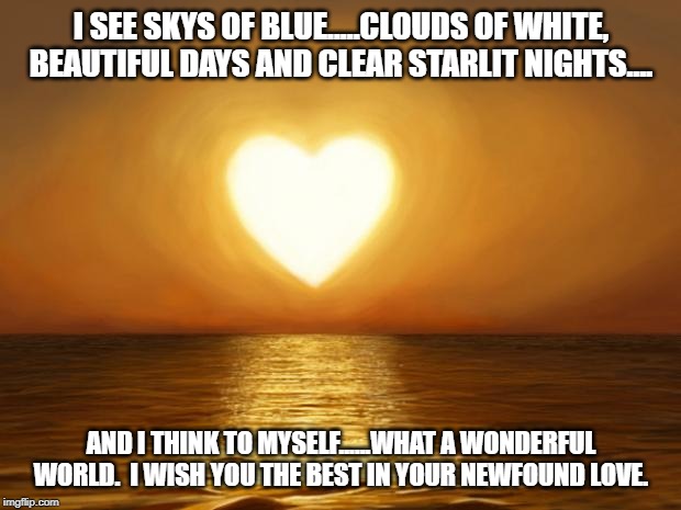Love | I SEE SKYS OF BLUE.....CLOUDS OF WHITE, BEAUTIFUL DAYS AND CLEAR STARLIT NIGHTS.... AND I THINK TO MYSELF......WHAT A WONDERFUL WORLD.  I WISH YOU THE BEST IN YOUR NEWFOUND LOVE. | image tagged in love | made w/ Imgflip meme maker