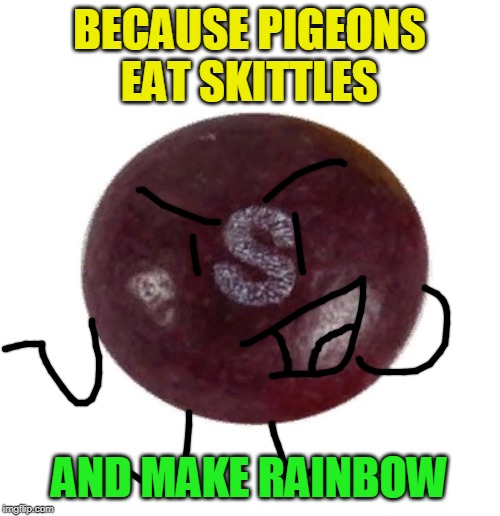 BECAUSE PIGEONS EAT SKITTLES AND MAKE RAINBOW | made w/ Imgflip meme maker