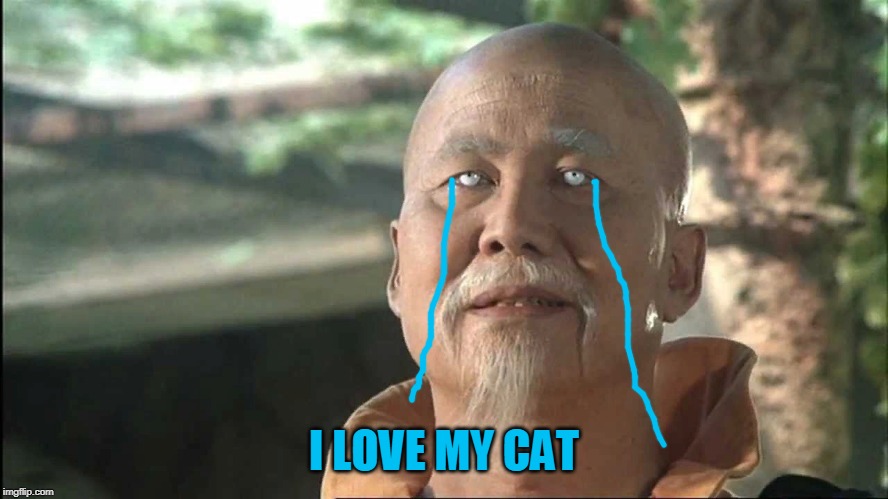 Kung Fu Po | I LOVE MY CAT | image tagged in kung fu po | made w/ Imgflip meme maker