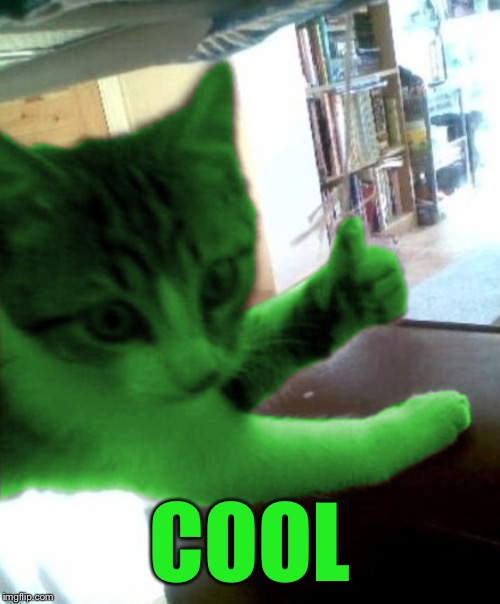 thumbs up RayCat | COOL | image tagged in thumbs up raycat | made w/ Imgflip meme maker