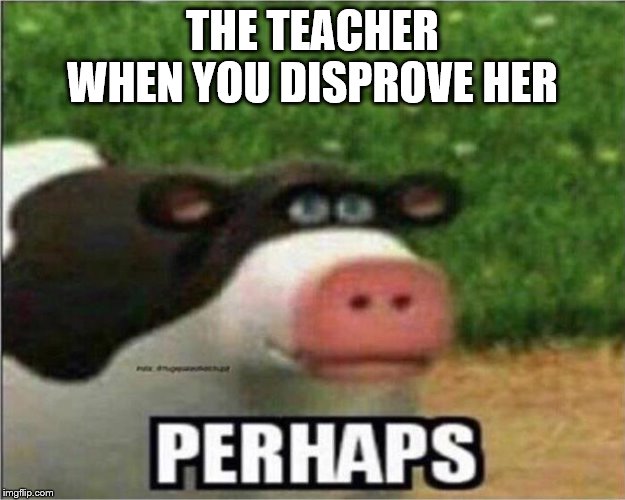always happens | THE TEACHER WHEN YOU DISPROVE HER | image tagged in perhaps cow | made w/ Imgflip meme maker