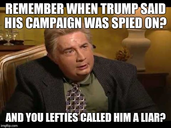 Jiminy Glick | REMEMBER WHEN TRUMP SAID HIS CAMPAIGN WAS SPIED ON? AND YOU LEFTIES CALLED HIM A LIAR? | image tagged in jiminy glick | made w/ Imgflip meme maker